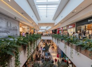 catuai-shopping-cascavel-realiza-feira-de-adocao-de-pets-neste-sabado