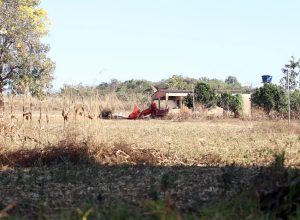 defesa-de-fazendeiros-em-goias-contesta-decisao-sobre-quilombolas