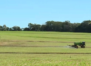 projeto-campo-limpo-ja-destinou-800-mil-toneladas-de-embalagens-de-agrotoxicos-com-seguranca