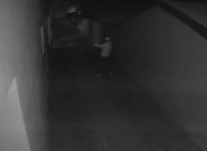 filha-e-suspeita-de-matar-o-proprio-pai-em-crime-brutal-dentro-de-casa-no-parana