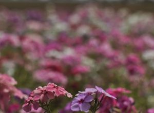 primavera-comeca-com-chegada-de-frente-fria,-temporais-e-fortes-ventos