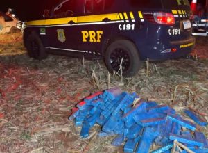 motorista-fica-em-estado-grave-ao-capotar-carro-carregado-com-maconha-na-br-277