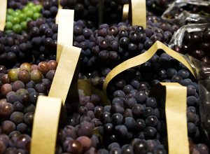 bndes-aprova-r$-1,2-bi-para-empresas-afetadas-pelo-tarifaco