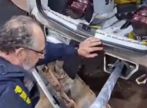 prf-apreende-50-kg-de-cabelo-humano-avaliado-em-r$-250-mil-em-cascavel