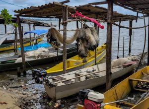 gestao-do-seguro-defeso-passara-para-ministerio-do-trabalho-em-outubro