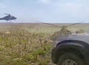 operacao-nova-alianca-52-apreende-589-toneladas-de-maconha-e-destroi-plantacoes-na-fronteira