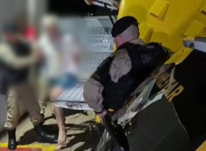 idoso-de-73-anos-e-preso-por-trafico-de-drogas-apos-denuncias-em-cascavel