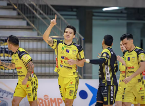 catarinenses-se-classificam-aos-playoffs-da-lnf