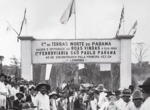 empresa-que-“plantou”-cidades-no-norte-do-parana-chega-aos-100-anos-com-negocios-em-bioenergia