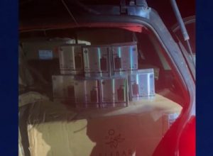 pf-e-bpfron-apreendem-grande-carregamento-de-cigarros-eletronicos-em-mercedes