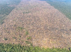 sistema-do-inpe-reforca-monitoramento-diario-do-bioma-amazonico