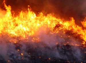 brigadistas-combatem-incendio-em-cavalcante,-goias